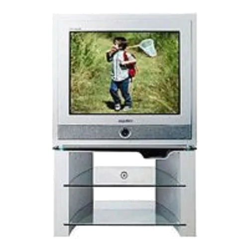 Замена шлейфа матрицы Samsung CS-29Z6HPQ