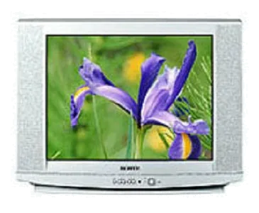 Замена шлейфа матрицы Samsung CS-29U2 WTQR